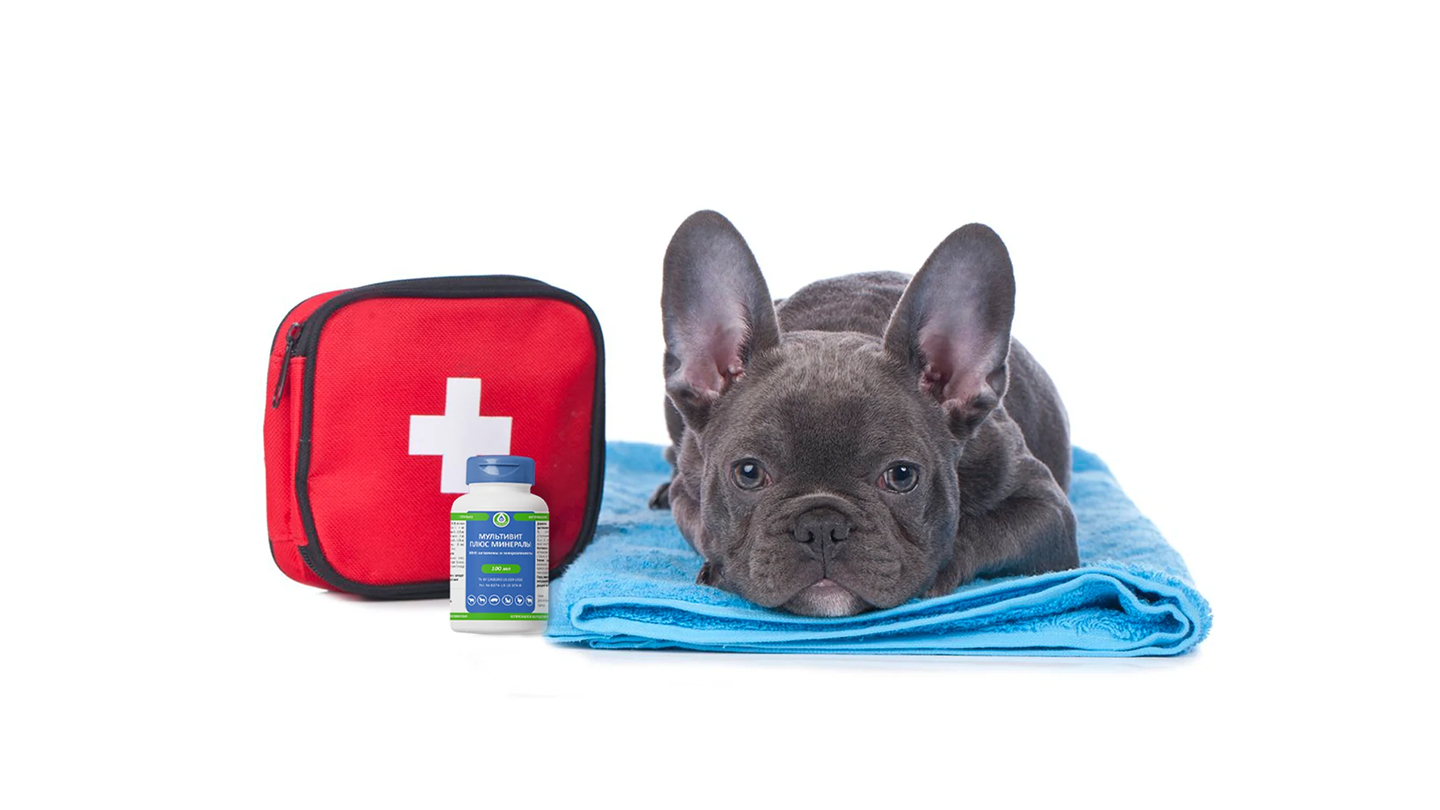 Биоветпром